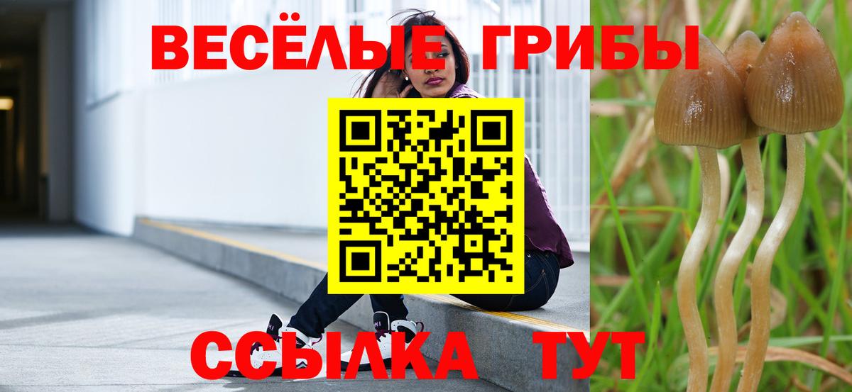 Псилоцибиновые грибы мицелий  Псилоцибиновые грибы MAGIC MUSHROOMS  Вход с VPN  Пятигорск 